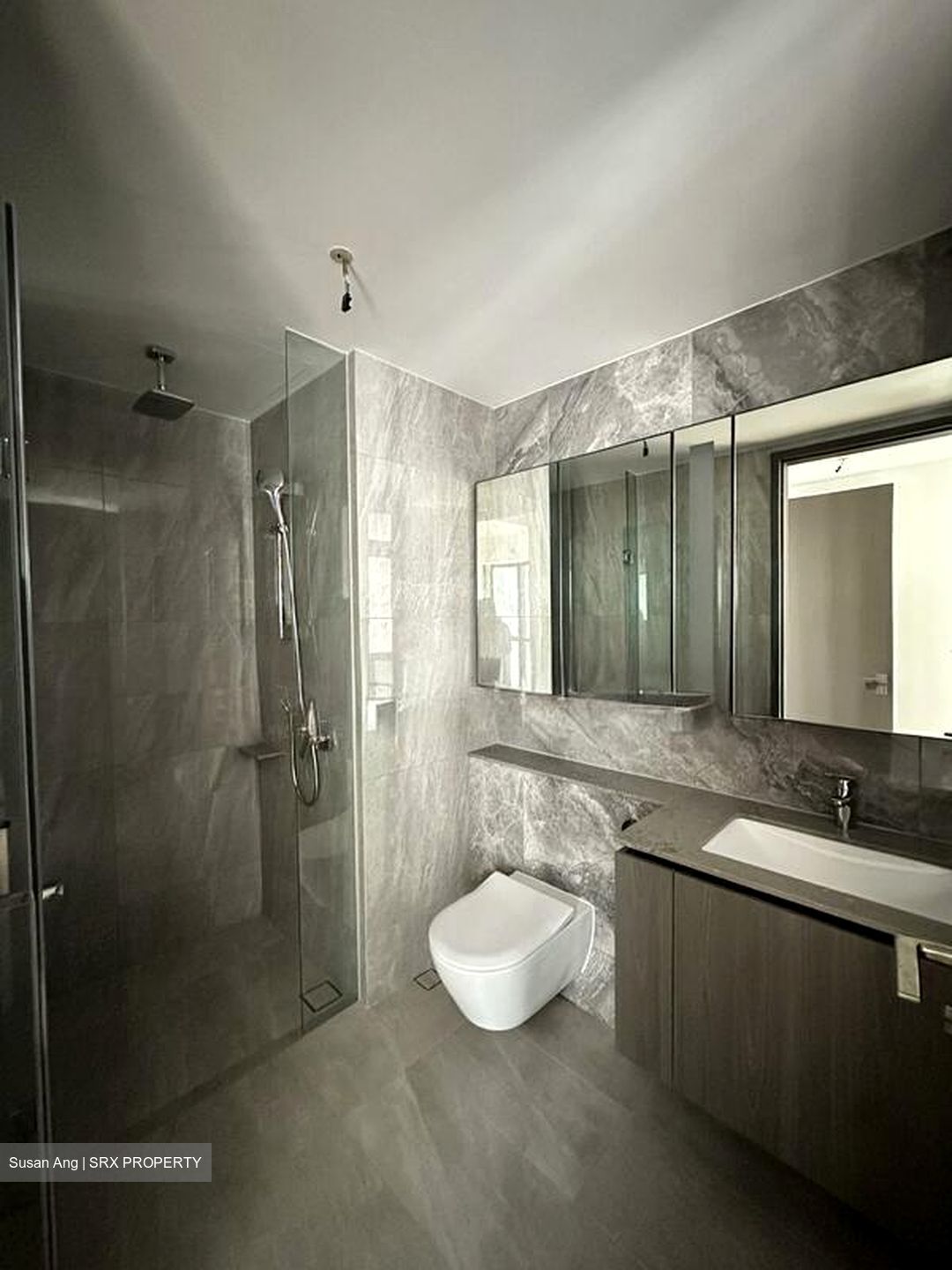 Piccadilly Grand (D8), Apartment #523800251